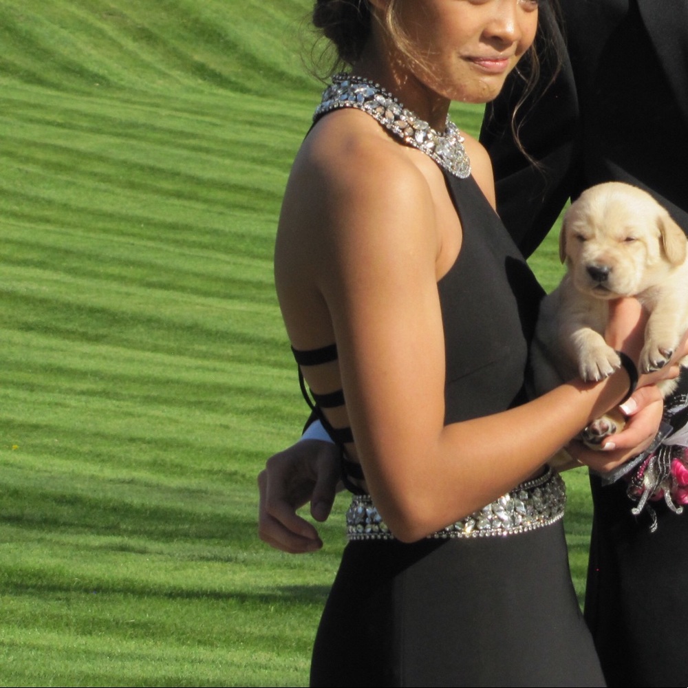 BLACK PROM DRESS - Picture 2 of 4